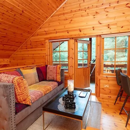 Сasa de vacaciones Large Luxury Log Getaway