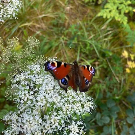 度假居 Large Luxury Log Getaway 百利科内尔